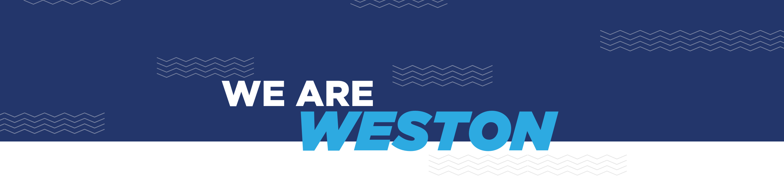 We are Weston Weston College